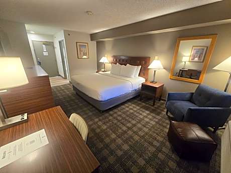 King Room - Pet Friendly/Non-Smoking