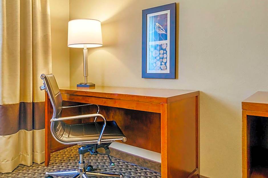 Comfort Inn Auburn - Seattle