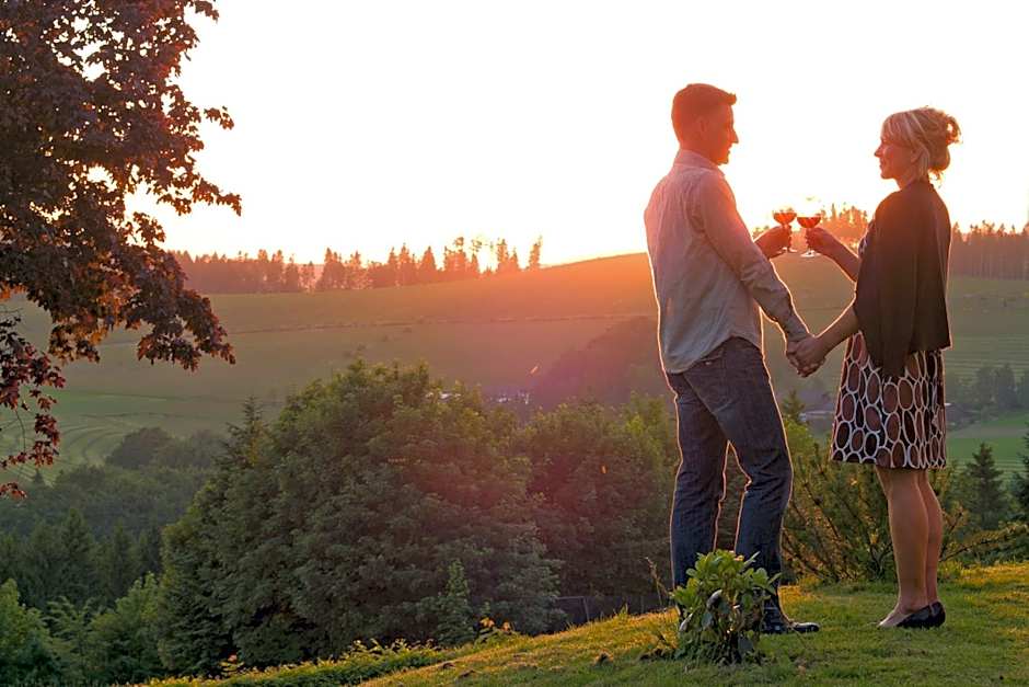 Sauerland Alpin Hotel