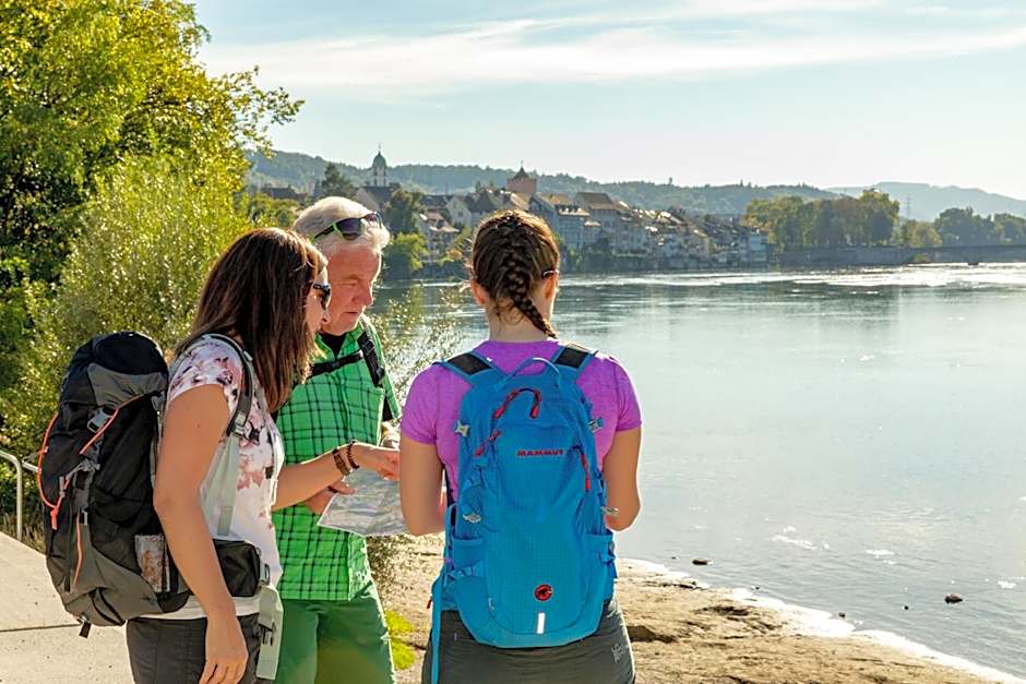 Hotel Schiff am Rhein