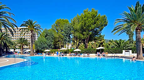 Sol Palmanova Mallorca