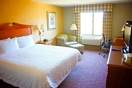 1 King Bed Nonsmoking