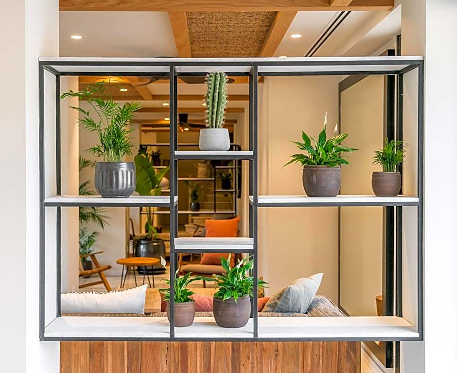 Hotel Eden Nord Soller