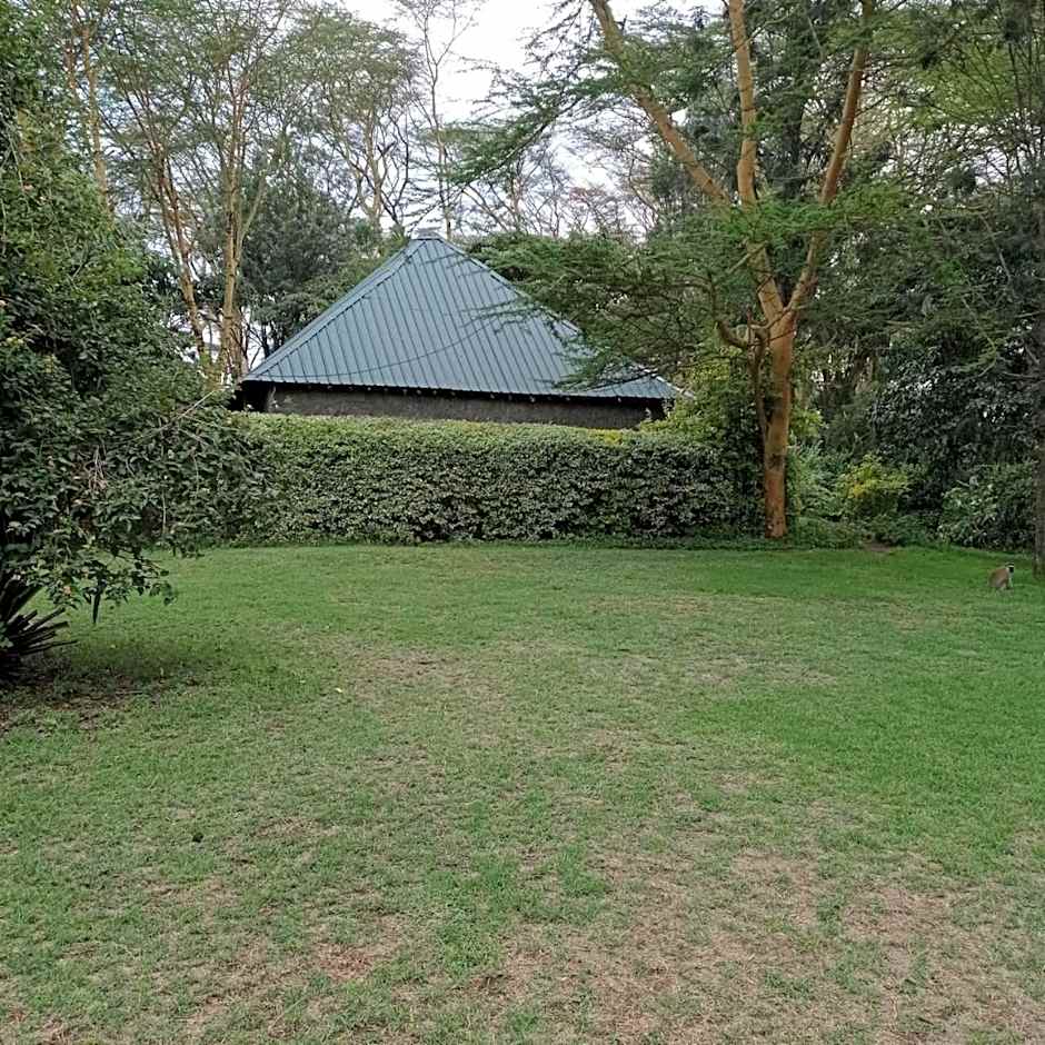 Cactus Eco Camp and Lodge