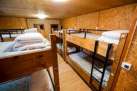 Single Bed in Mixed Dormitory Room