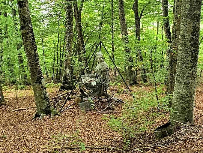 Park Hotel Bellavista