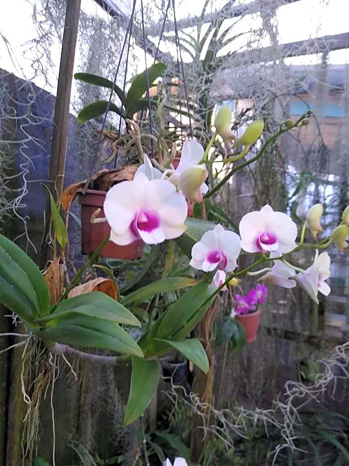 Pousada São Miguel Filosofal