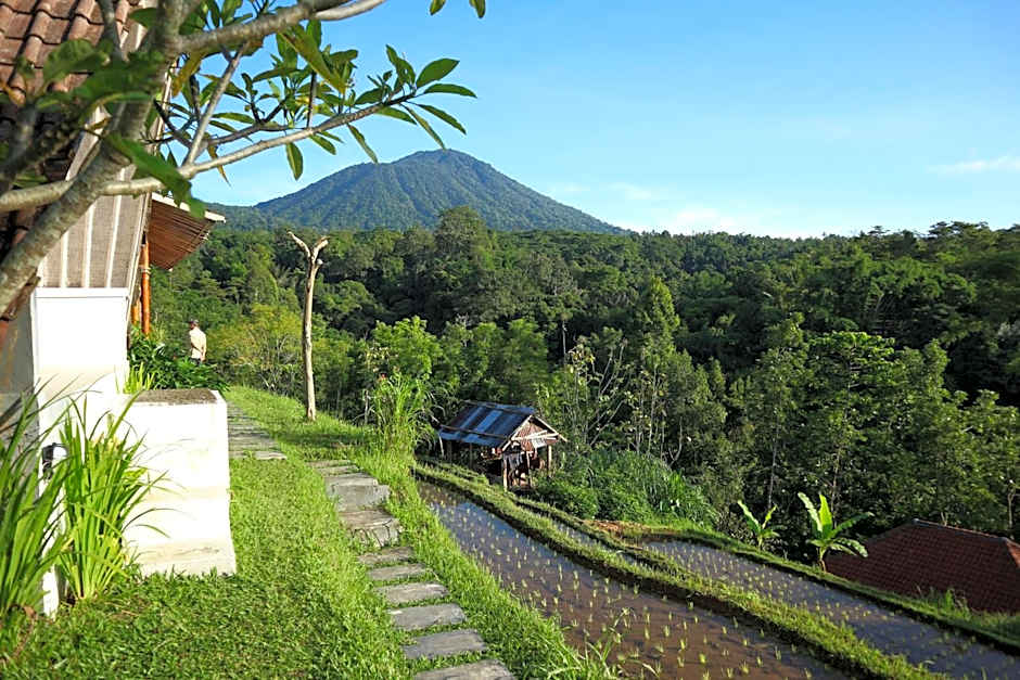 Padi Bali Jatiluwih