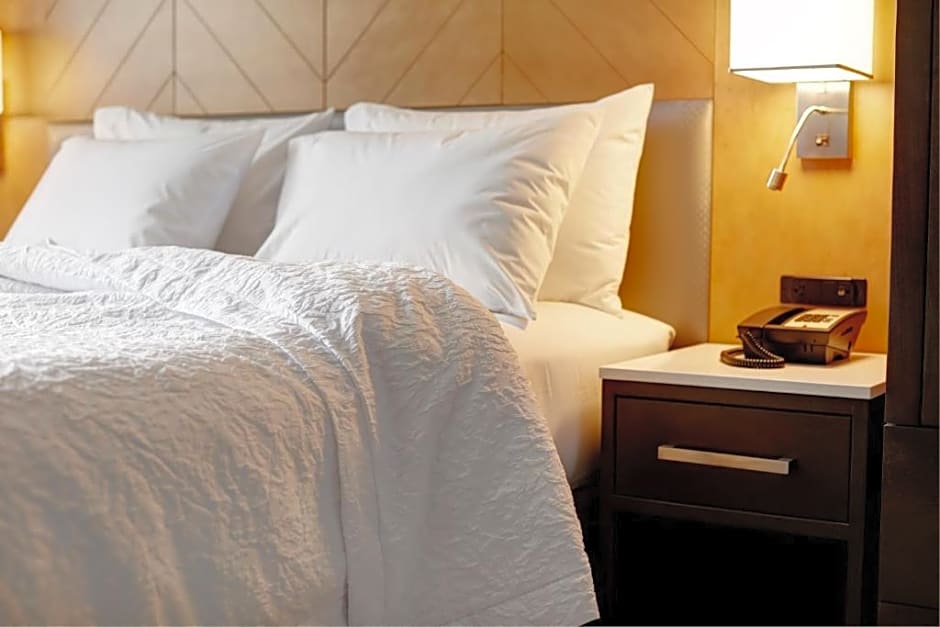 Hampton Inn Brooklyn/Downtown