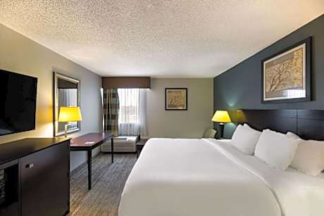 1 King Bed, Efficiency, Suite, Nonsmoking