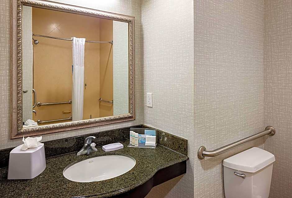 Photo 1 of 1 of 1 King Bed, Mobility Accessible, Bathtub