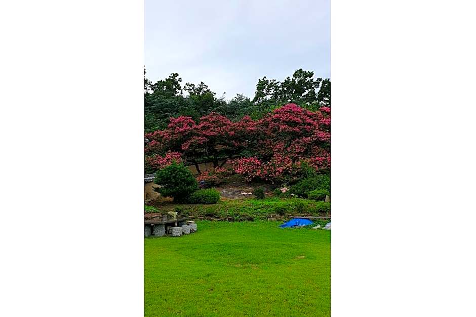 An Dong Kim Jong Tek Yang So Dang