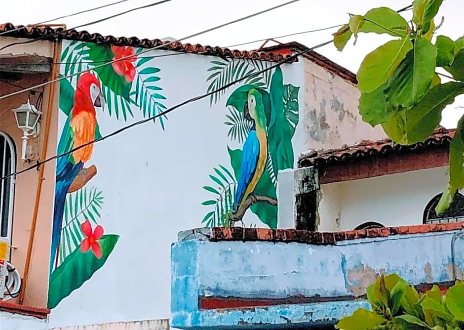 My Local Home Vallarta