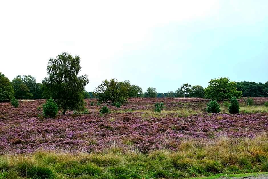 Gasterij Hotel Dennenoord