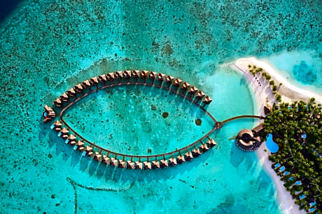 Sun Siyam Vilu Reef - 24 Hours All-Inclusive with Free Transfer