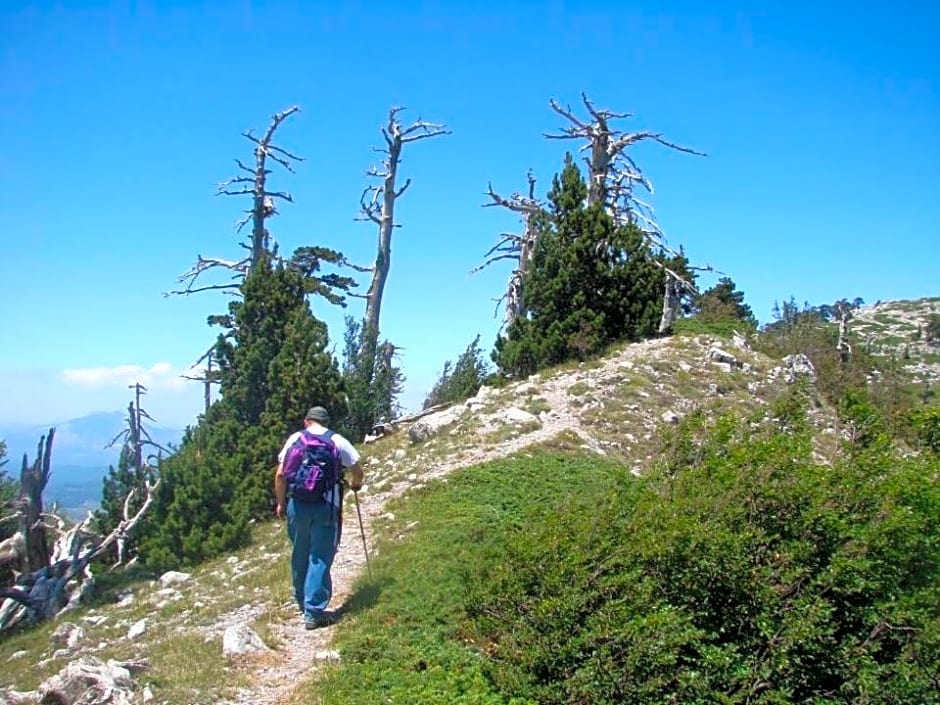 Montagne Rocciose