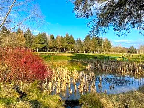 Hot Tub 9 The Fairways