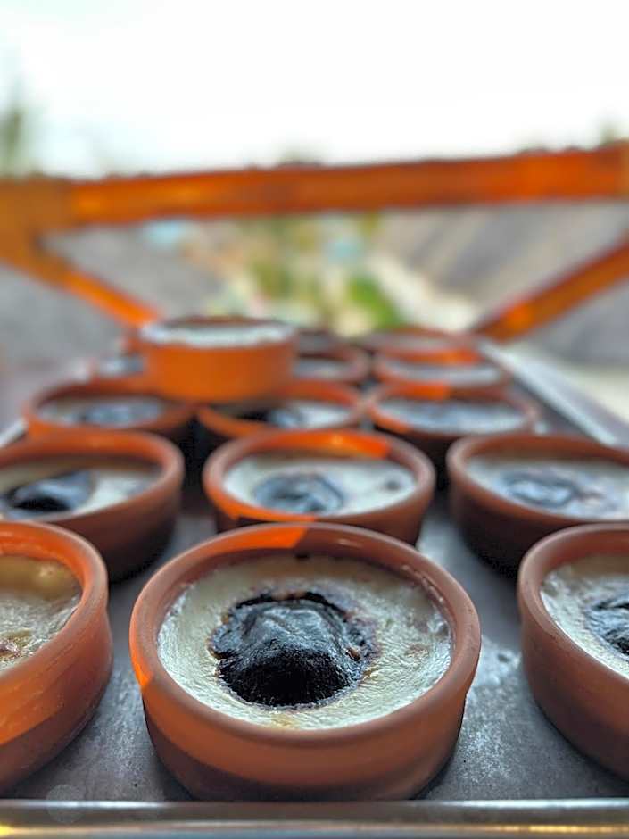 Turkuaz Beach Zanzibar