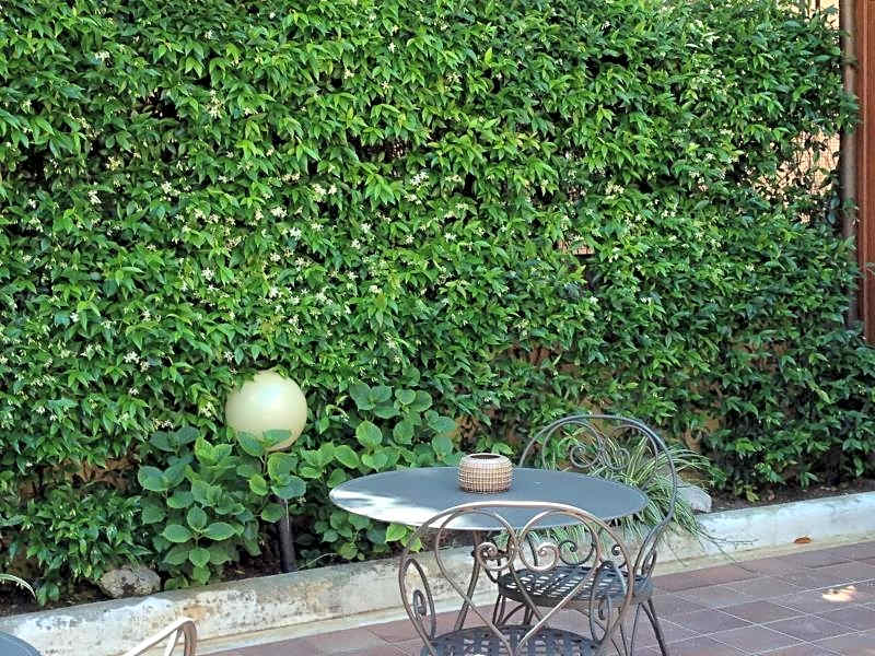 Select – Rome