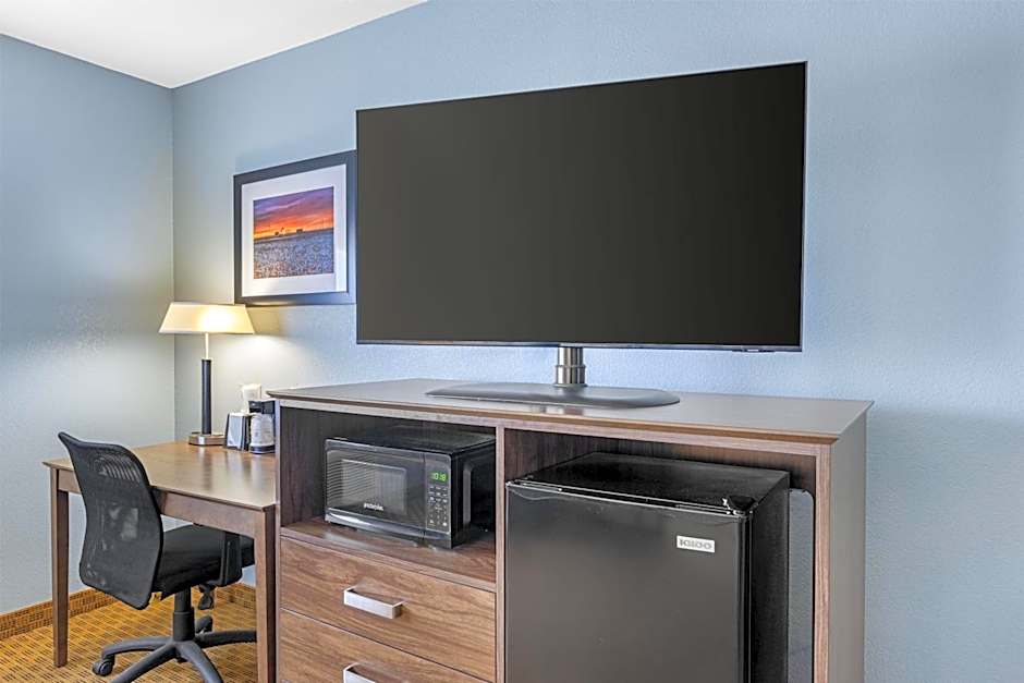 Best Western South Plains Inn & Suites