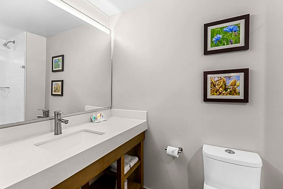 Comfort Suites Columbia I-65