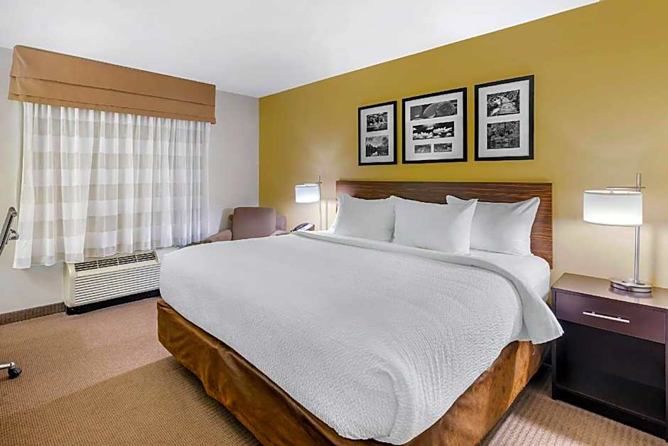 Photo 1 of 4 of 1 King Bed, Pet-Friendly