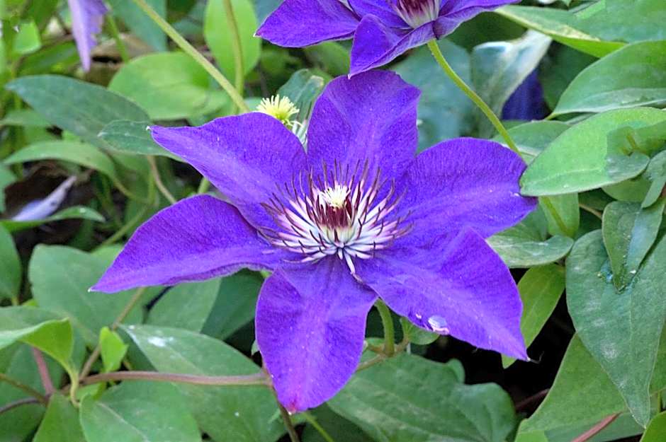 Hôtel A casa di Maria Cicilia