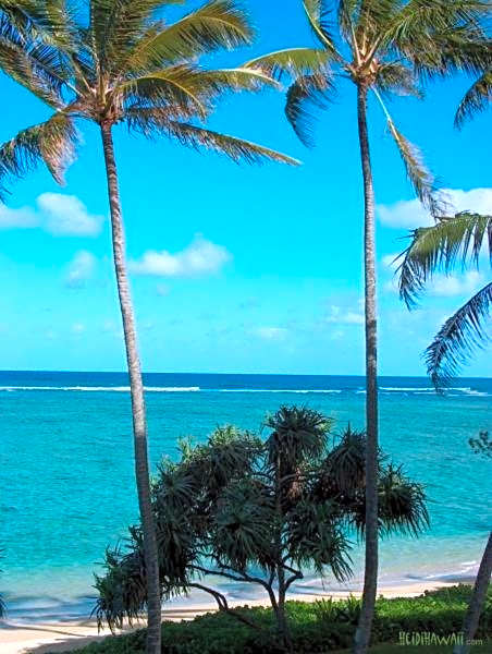 Stunning Ocean Views Condos in Oahu at Punaluu