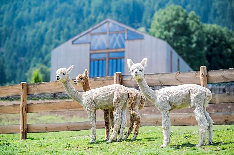 Hotel Lanerhof active/spa/balance