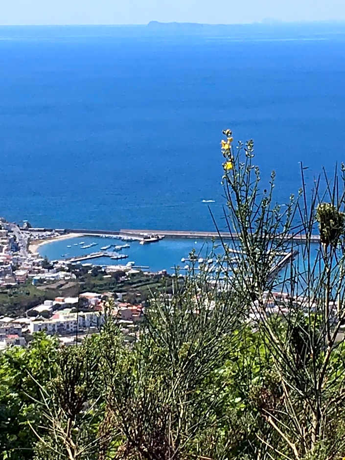 Poggio Aragosta Hotel & Spa