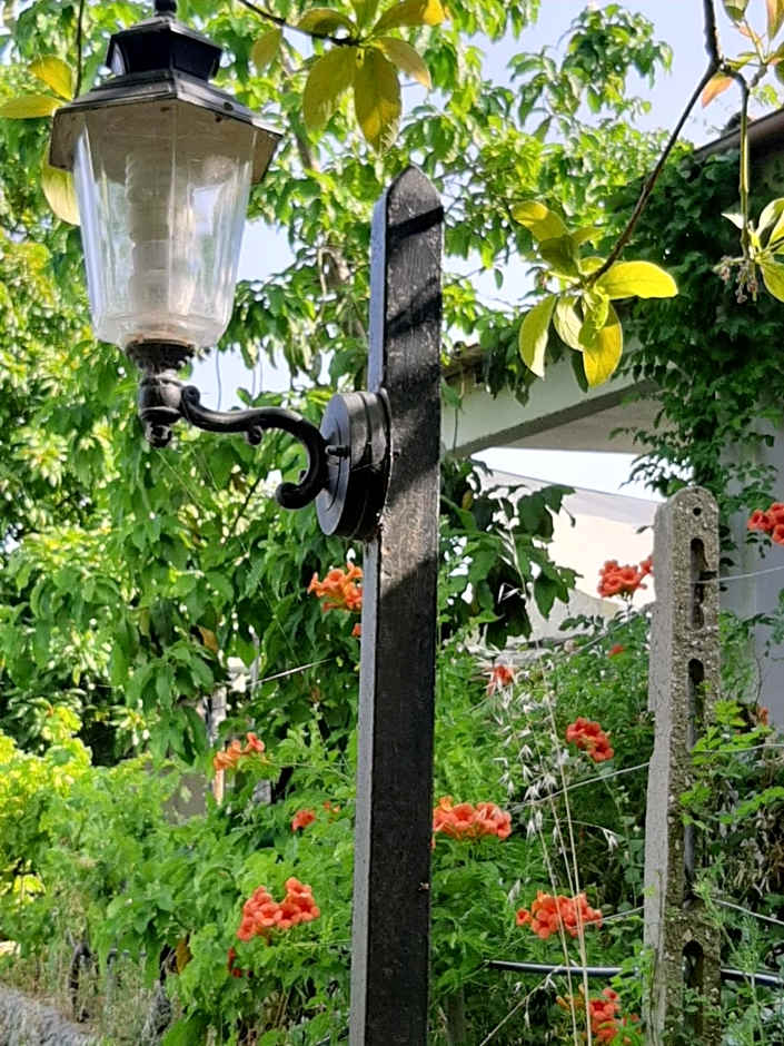 Il Vitigno di Dioniso