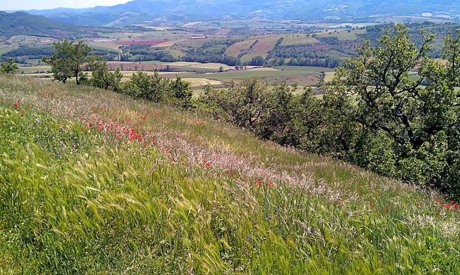 Résidence du Rougier
