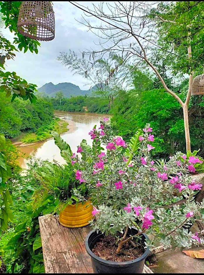 Baanmai Phaipa House