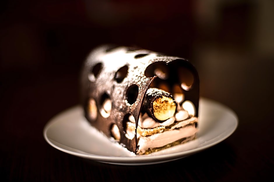 Pride Plaza Hotel Ahmedabad