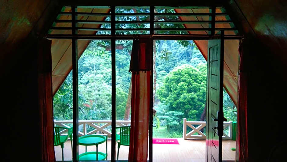 Green Forest Tangkahan