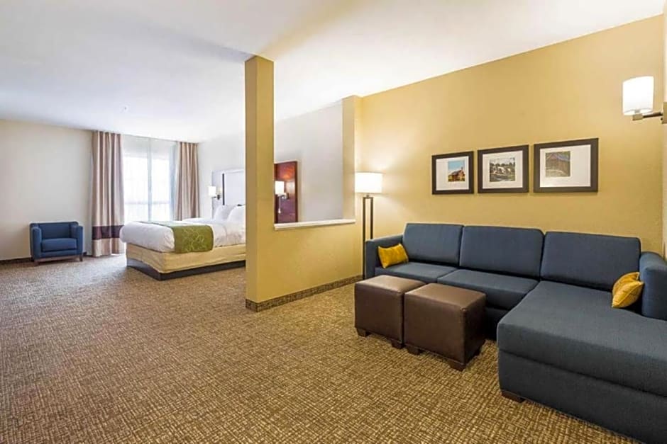 Comfort Suites Greenville South