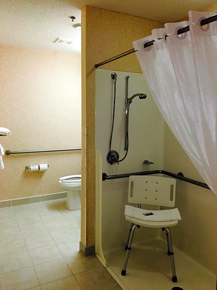 Microtel Inn & Suites by Wyndham Syracuse Baldwinsville
