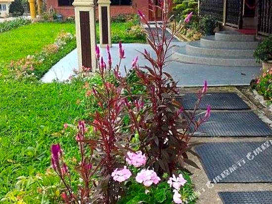 Wayn Zen Rose Cabin
