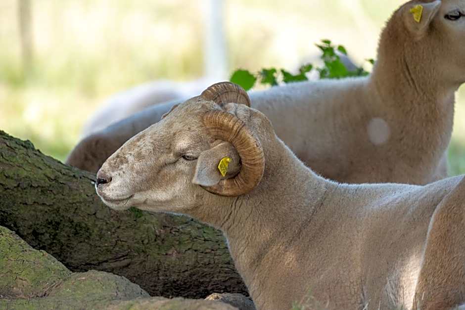 Waldschlösschen Brotterode