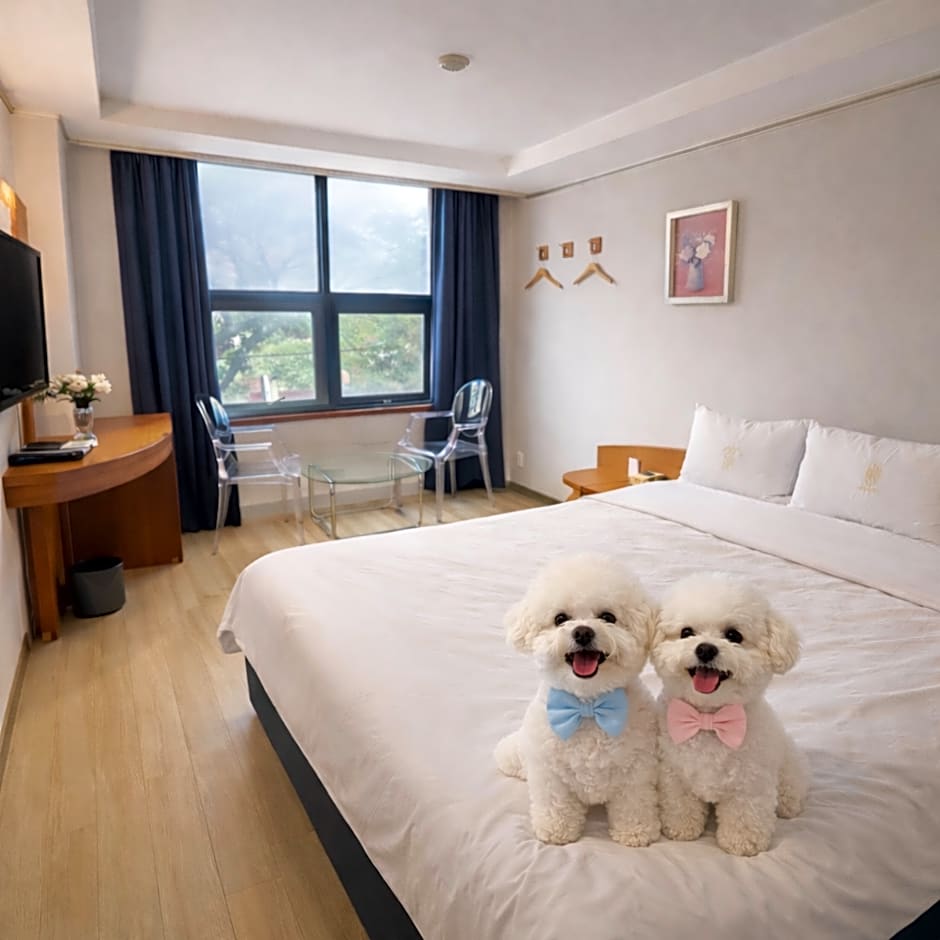 Hotel Busan Station 102
