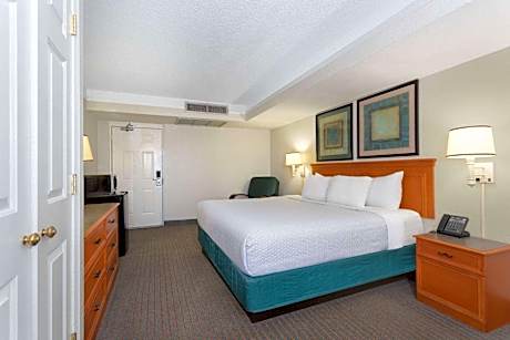 Deluxe King Suite - Non-Smoking