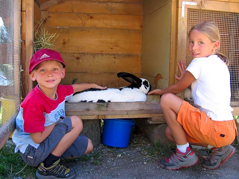 Alpengasthaus Gleinserhof