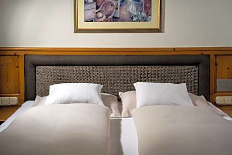 Economy Double or Single Room