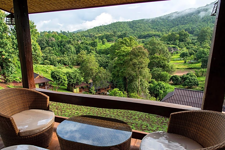 Chiang Mai Elephant Friends