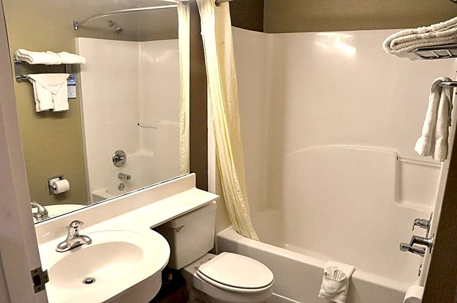 Microtel Inn & Suites By Wyndham Lithonia/Stone Mountain