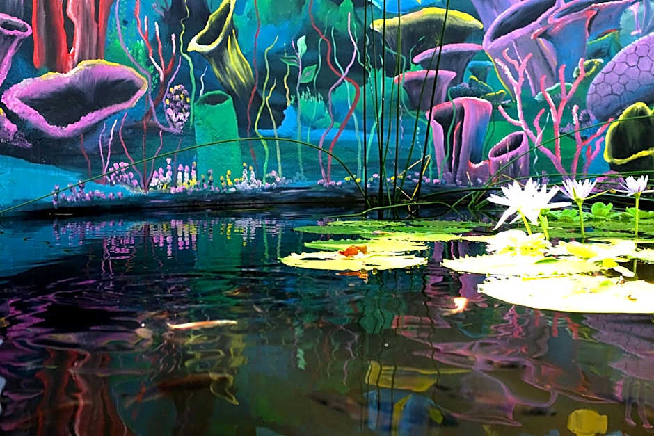 Salty's Kitesurf Village