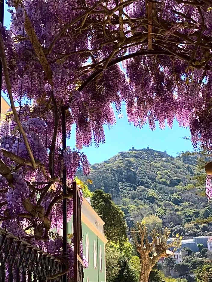 Casa Holstein Quinta de Sao Sebastiao Sintra