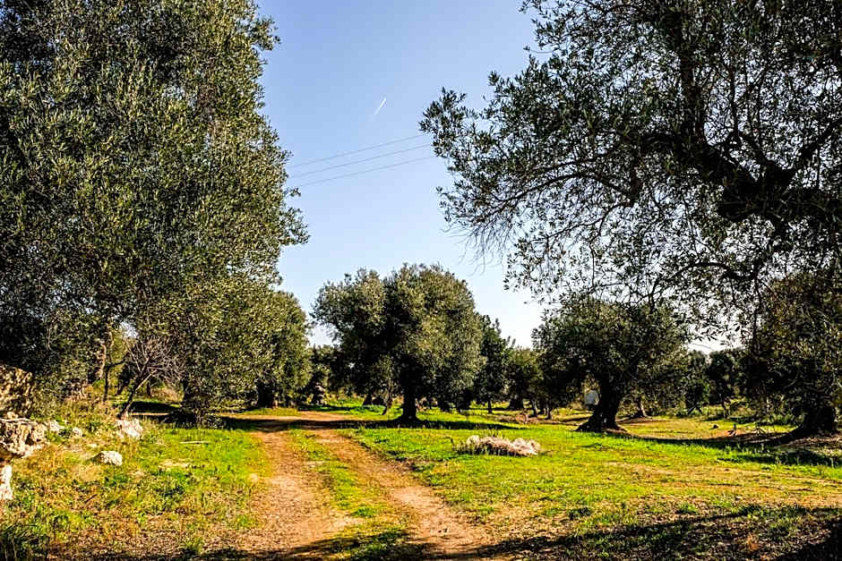 Masseria D'Erchia