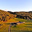 Hanging Rock Views