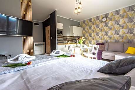 Studio Apartment (Izerski z sauna)
